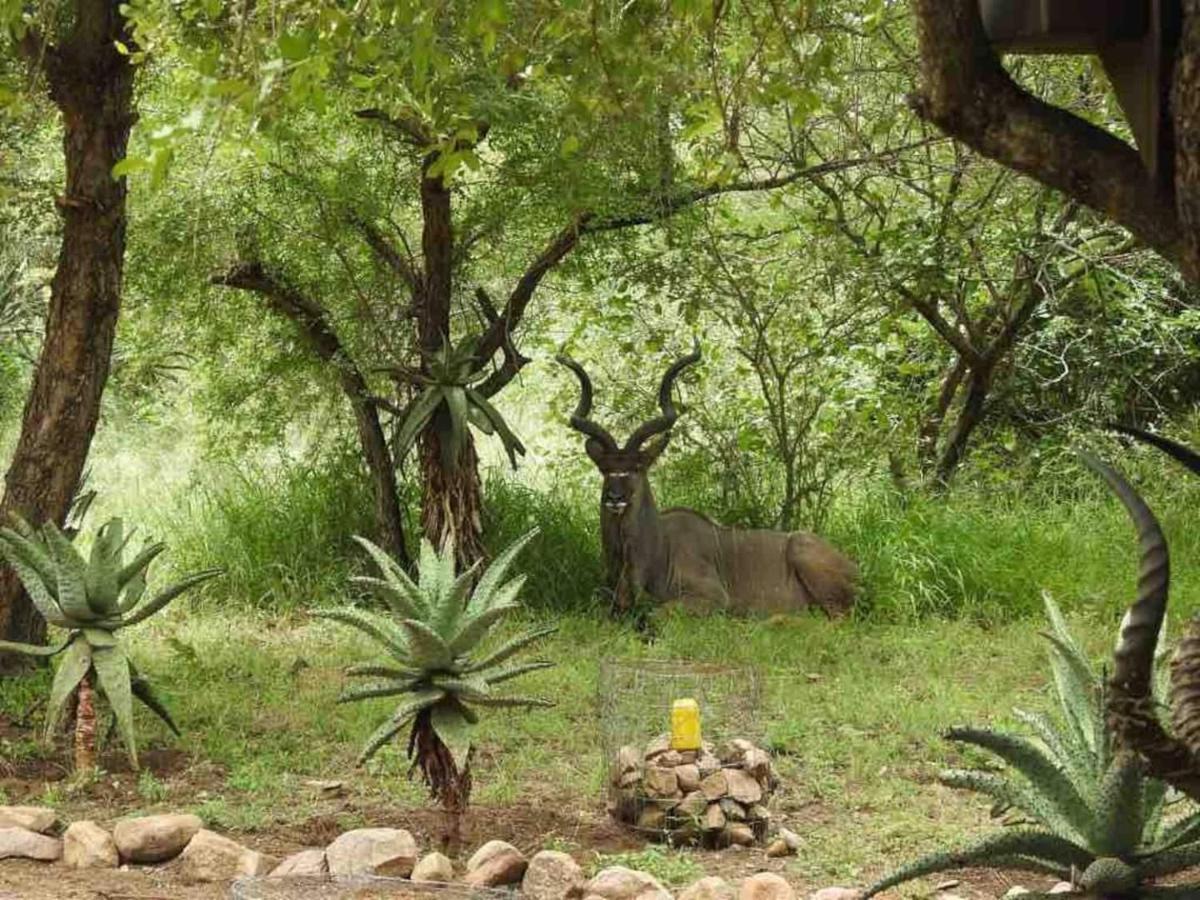 Lituba Place Marloth Park Kültér fotó