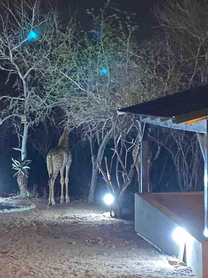 Lituba Place Marloth Park Kültér fotó